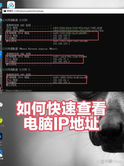 查询IP地址：快速获取设备IP和地理位置信息