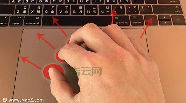 www.zjyzpcxx.com怎么用？新手入门教程来了！