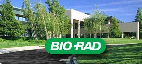 radcontrols是什么？新手入门radcontrols教程！