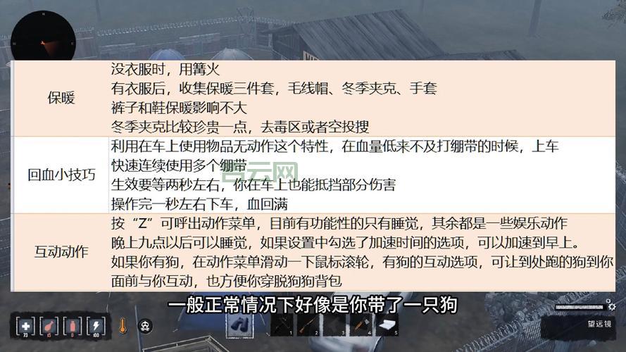 人狗大战JAVA代码咋写?新手也能看懂的教程!
