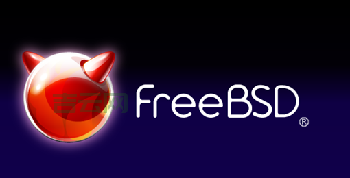 想学freebsd安装？看完这篇你就全明白了！