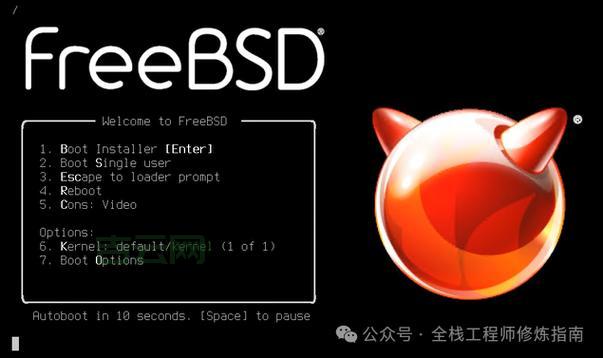 想学freebsd安装？看完这篇你就全明白了！