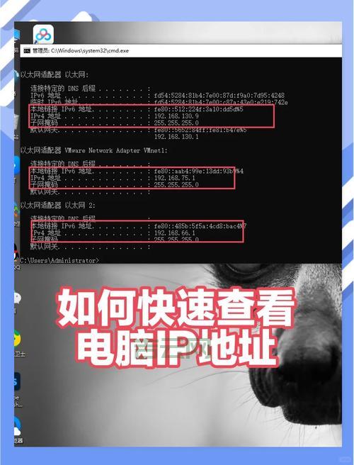 默认网关地址怎么看？内行人教你快速查找！