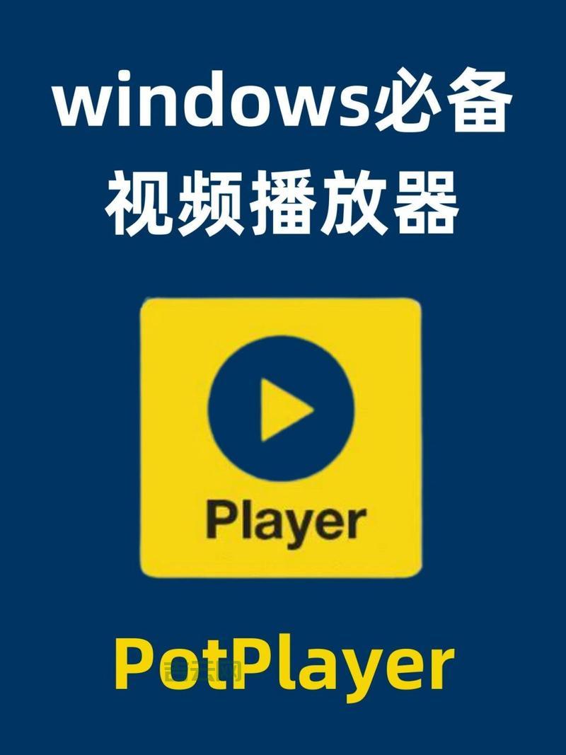 pplayer播放器下载哪个版本？官方渠道推荐！