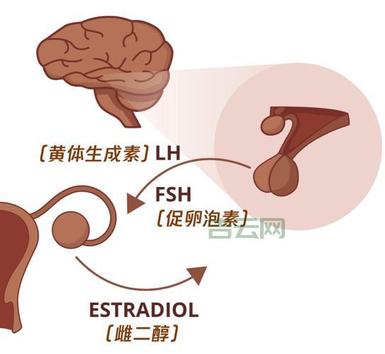tsfshell有什么用？这些强大功能你知道吗？
