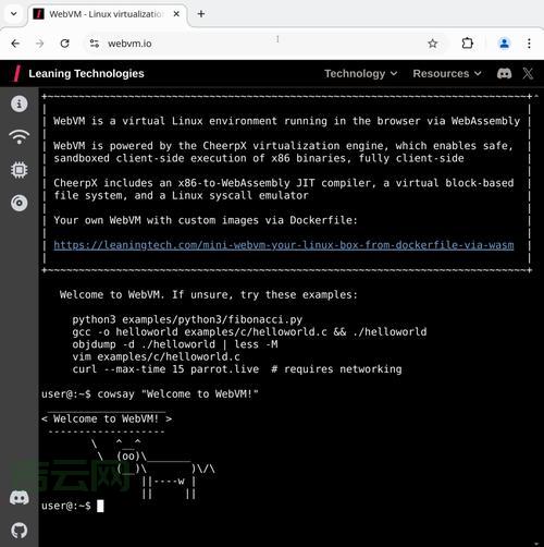 Linux 虚拟主机怎么选?新手小白看这篇就够了!