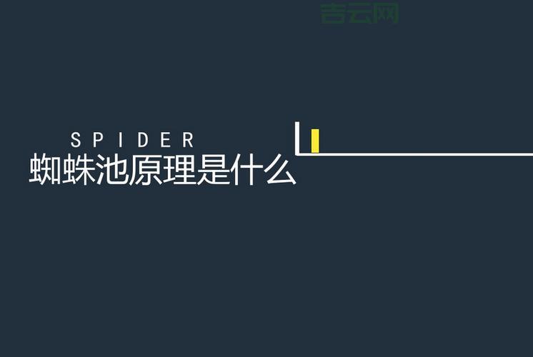 阿里蜘蛛池怎么用效果最好？分享几个提升效率的技巧。