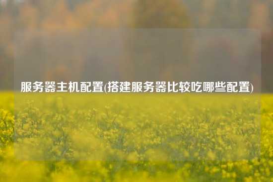 服务器主机配置(搭建服务器比较吃哪些配置)