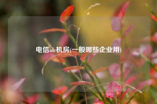 电信idc机房(一般哪些企业用)