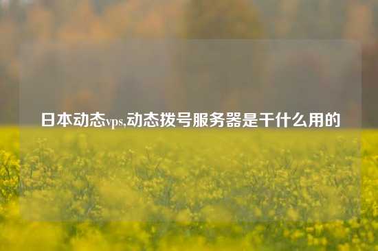 日本动态vps,动态拨号服务器是干什么用的