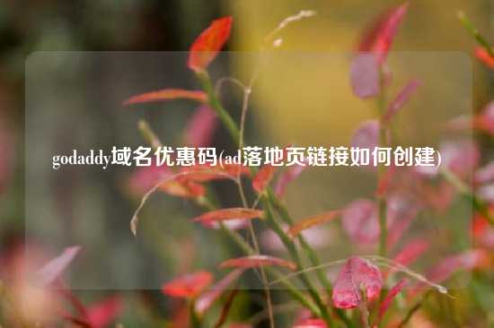 godaddy域名优惠码(ad落地页链接如何创建)