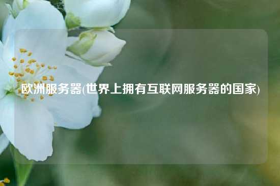 欧洲服务器(世界上拥有互联网服务器的国家)