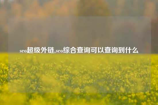 seo超级外链,seo综合查询可以查询到什么