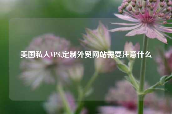 美国私人VPS,定制外贸网站需要注意什么