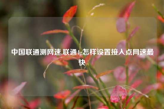 中国联通测网速,联通4g怎样设置接入点网速最快