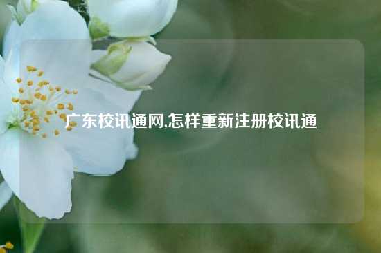 广东校讯通网,怎样重新注册校讯通