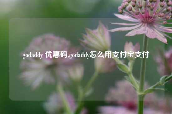 godaddy 优惠码,godaddy怎么用支付宝支付