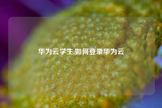 华为云学生,如何登录华为云
