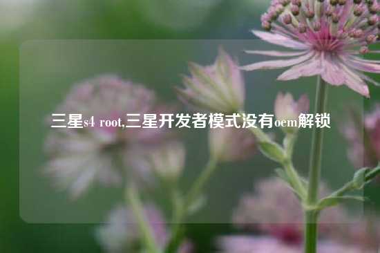 三星s4 root,三星开发者模式没有oem解锁