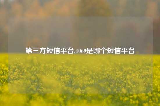 第三方短信平台,1069是哪个短信平台