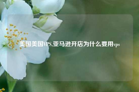 美国美国VPS,亚马逊开店为什么要用vps