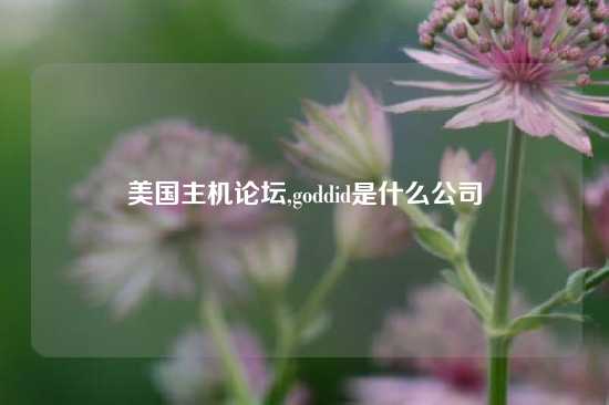 美国主机论坛,goddid是什么公司