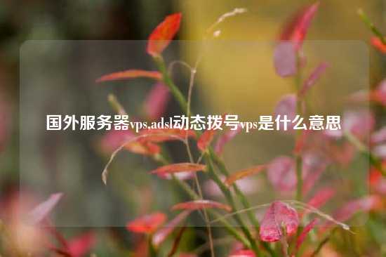 国外服务器vps,adsl动态拨号vps是什么意思