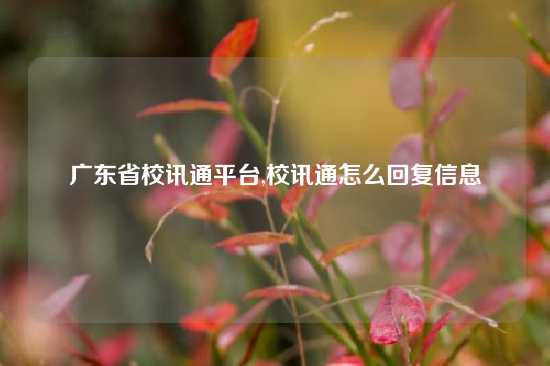 广东省校讯通平台,校讯通怎么回复信息
