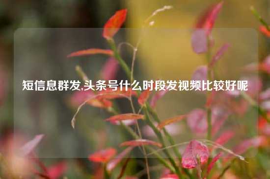 短信息群发,头条号什么时段发视频比较好呢