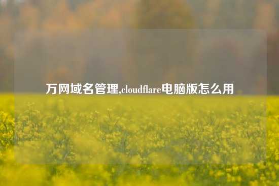 万网域名管理,cloudflare电脑版怎么用