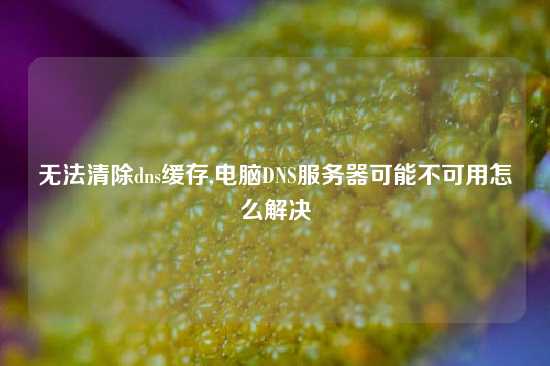 无法清除dns缓存,电脑DNS服务器可能不可用怎么解决