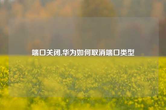 端口关闭,华为如何取消端口类型