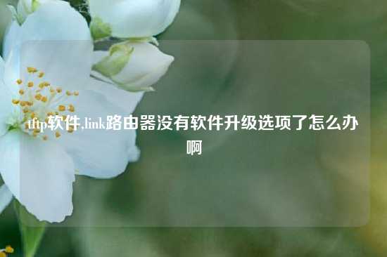 tftp软件,link路由器没有软件升级选项了怎么办啊