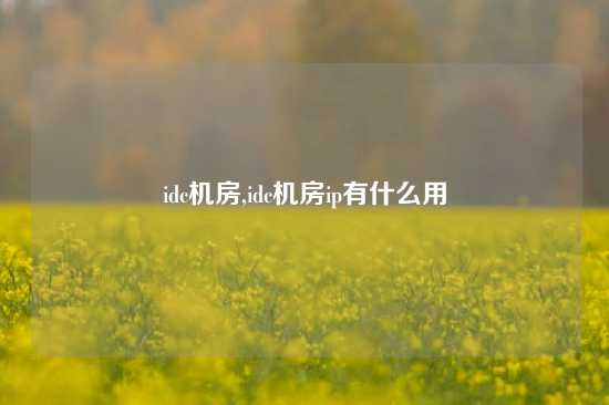 idc机房,idc机房ip有什么用