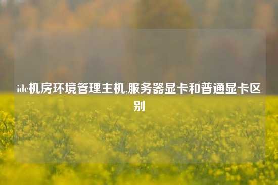 idc机房环境管理主机,服务器显卡和普通显卡区别