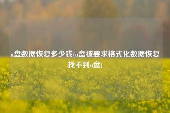 u盘数据恢复多少钱(u盘被要求格式化数据恢复找不到u盘)