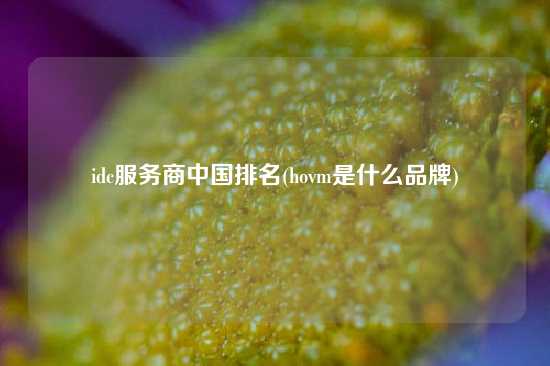 idc服务商中国排名(hovm是什么品牌)