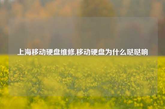 上海移动硬盘维修,移动硬盘为什么哒哒响