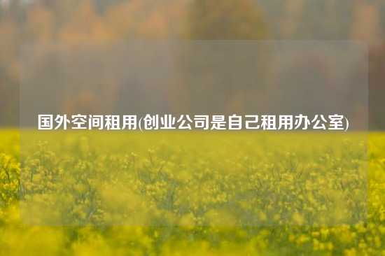 国外空间租用(创业公司是自己租用办公室)