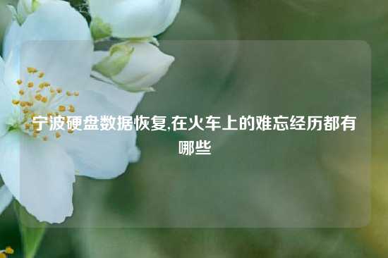 宁波硬盘数据恢复,在火车上的难忘经历都有哪些