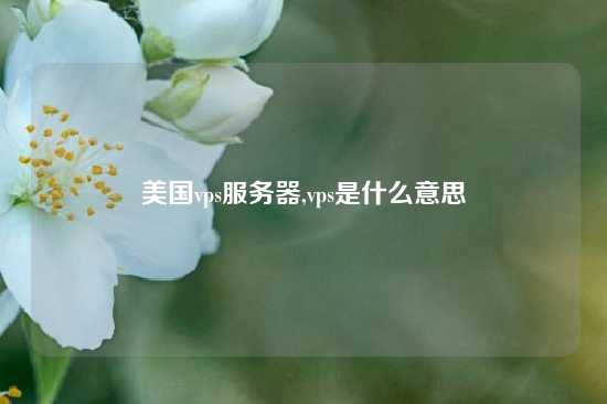 美国vps服务器,vps是什么意思