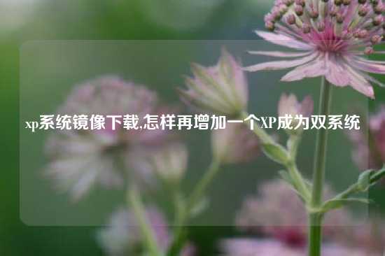xp系统镜像下载,怎样再增加一个XP成为双系统