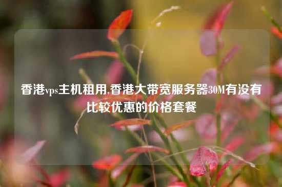 香港vps主机租用,香港大带宽服务器30M有没有比较优惠的价格套餐