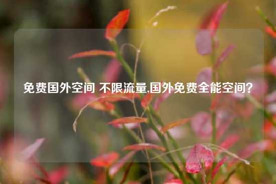 免费国外空间 不限流量,国外免费全能空间？