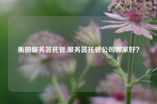 衡阳服务器托管,服务器托管公司哪家好？