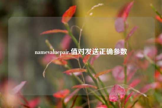 namevaluepair,值对发送正确参数