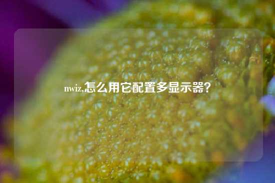 nwiz,怎么用它配置多显示器？