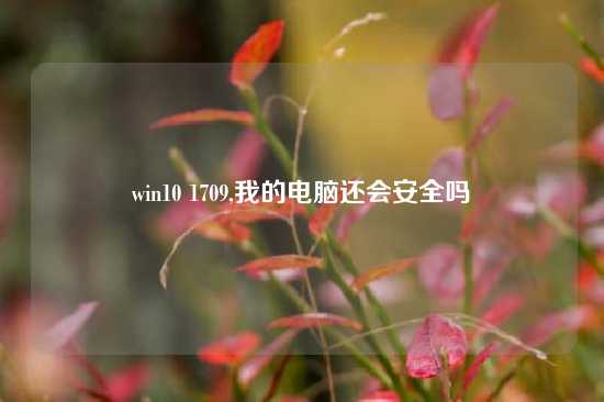 win10 1709,我的电脑还会安全吗
