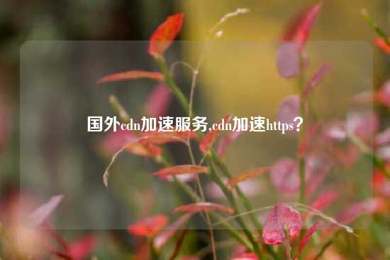 国外cdn加速服务,cdn加速https？