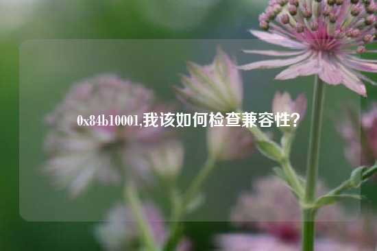 0x84b10001,我该如何检查兼容性？